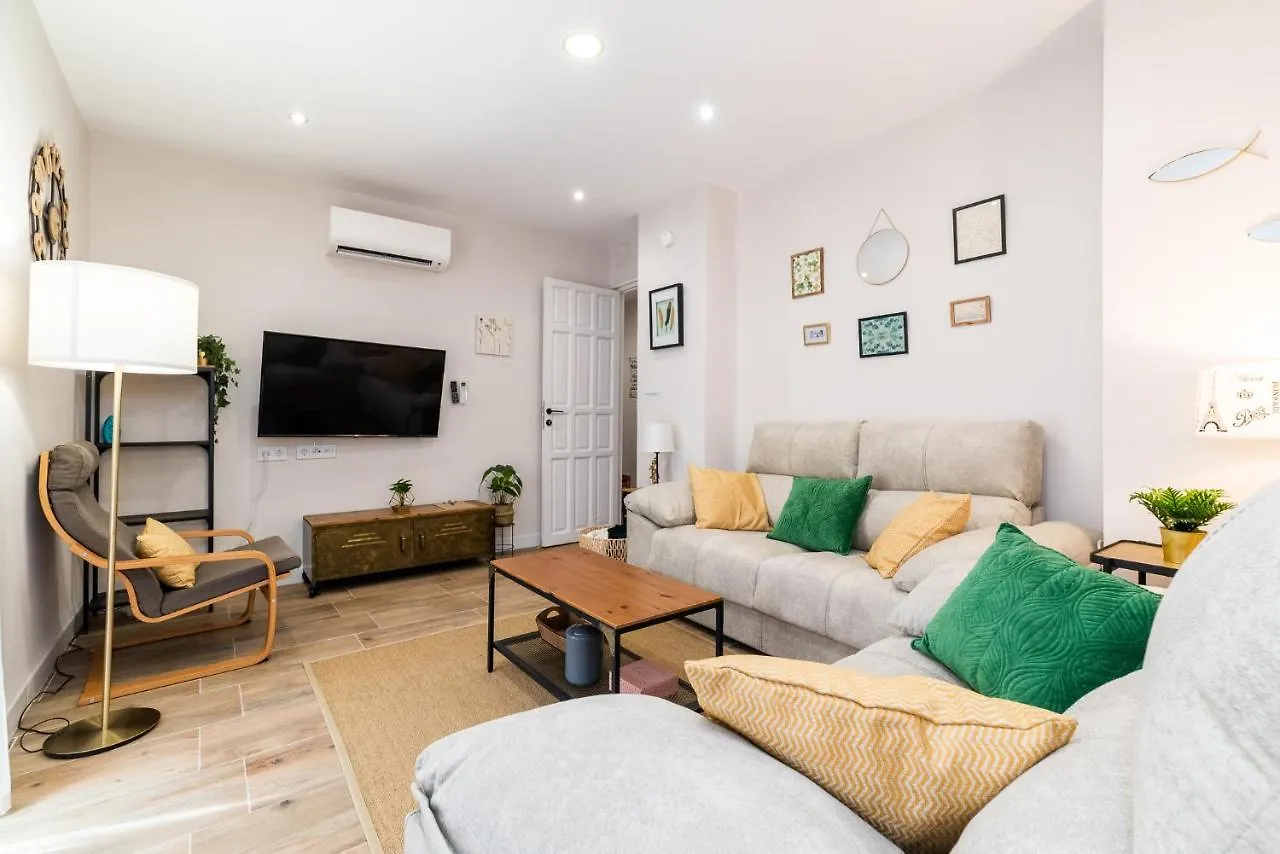 Emblematic Apartment In The Realejo Granada