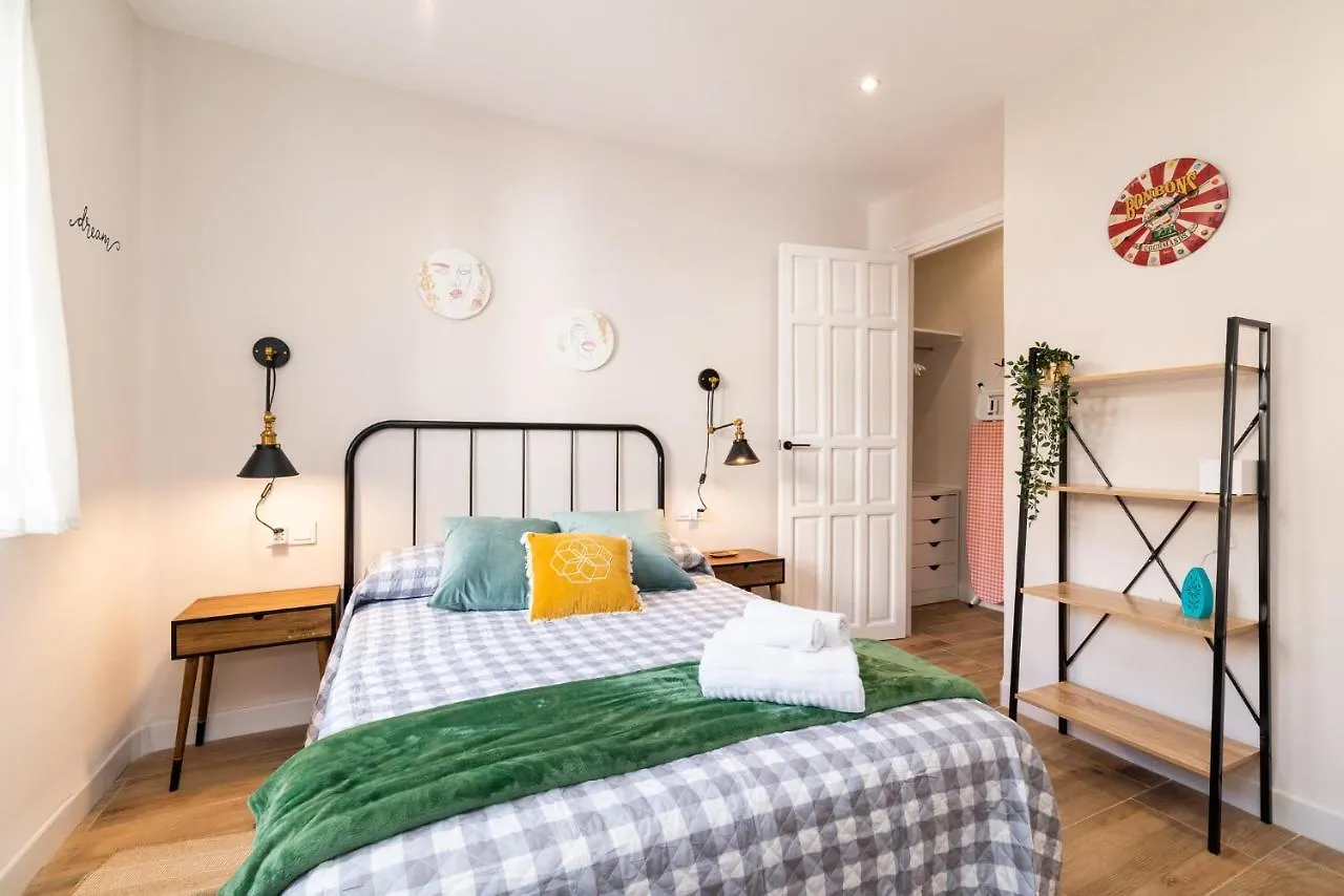 Emblematic Apartment In The Realejo Granada