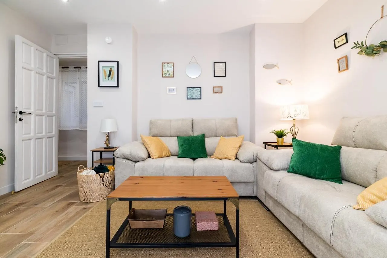 Emblematic Apartment In The Realejo Granada