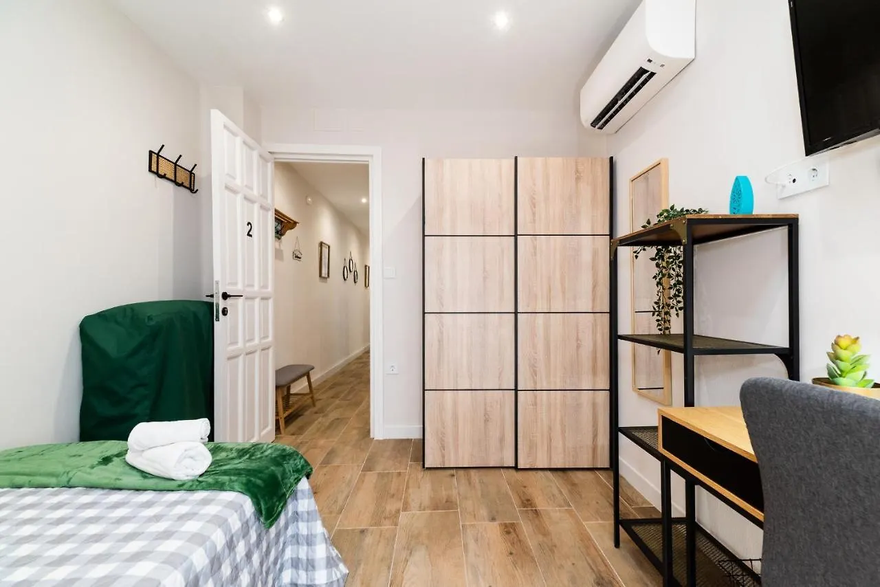 Emblematic Apartment In The Realejo Granada