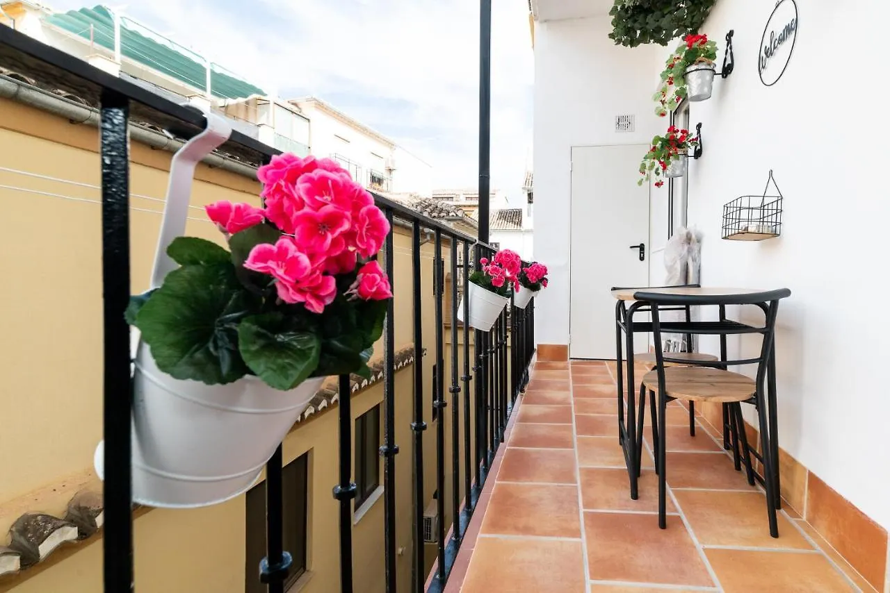 Emblematic Apartment In The Realejo Granada España