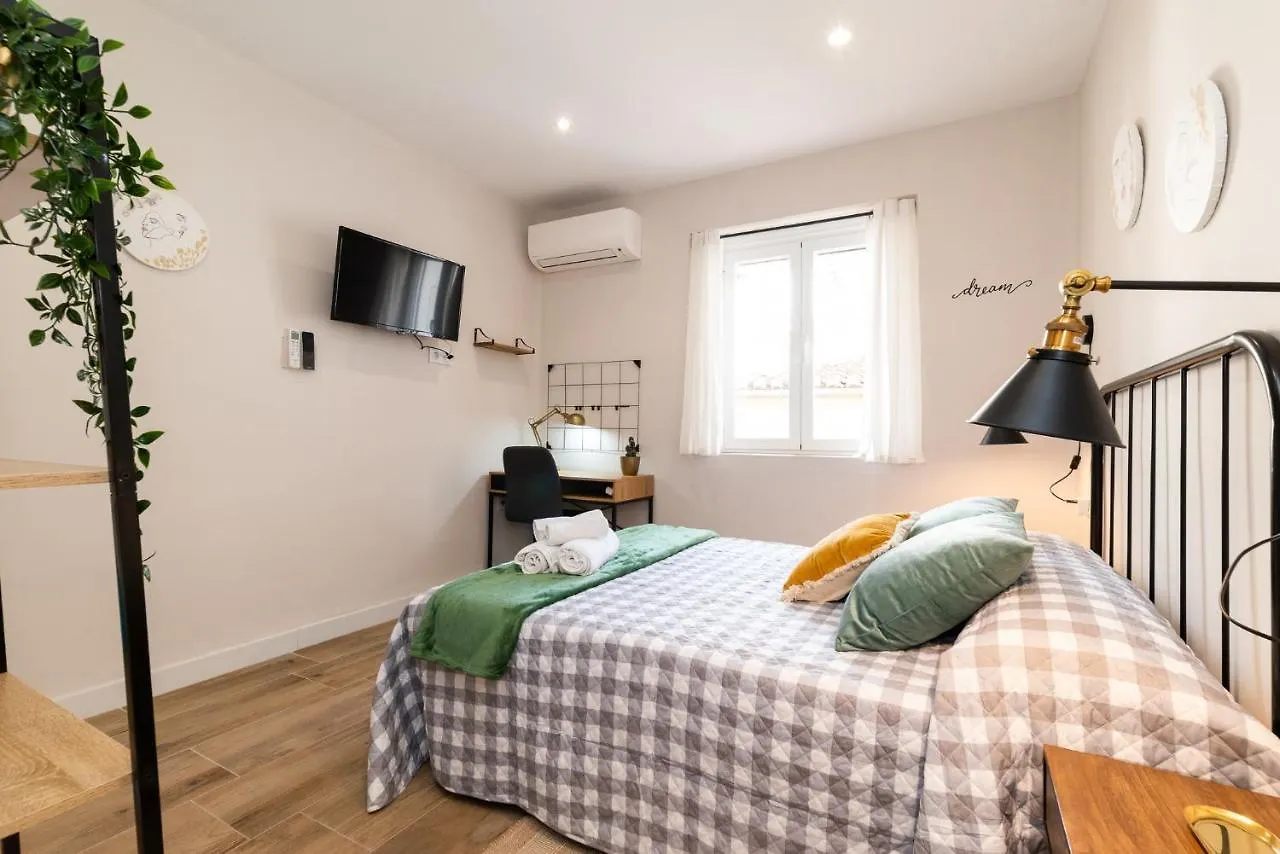 Emblematic Apartment In The Realejo Granada