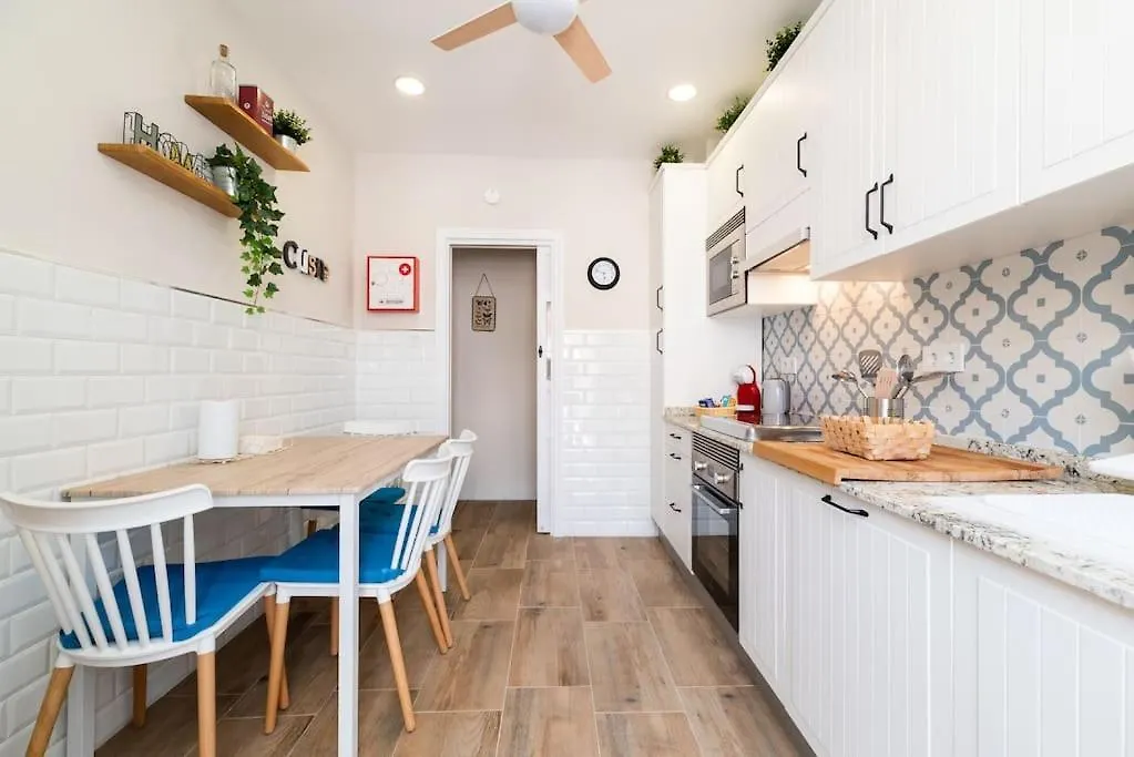 Emblematic Apartment In The Realejo Granada