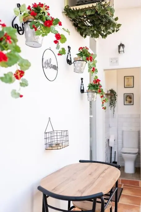 Emblematic Apartment In The Realejo Granada