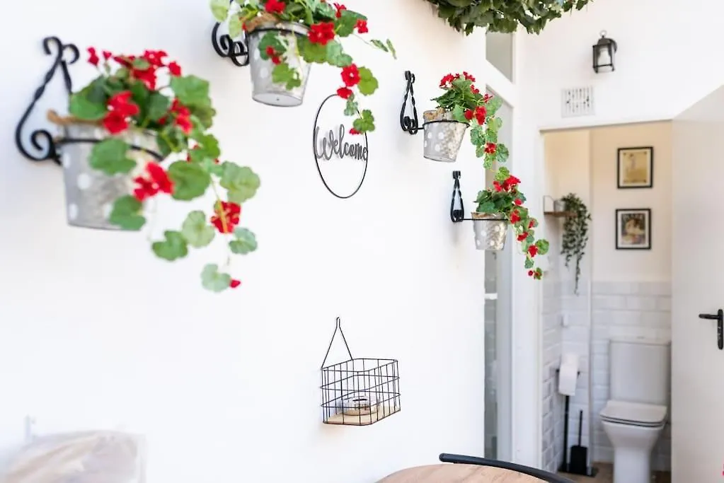 Emblematic Apartment In The Realejo Granada